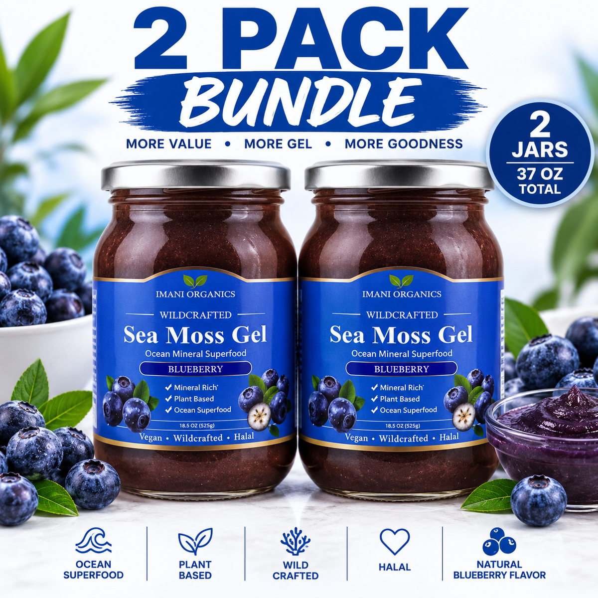Blueberry Sea Moss Gel · 18.5 oz
