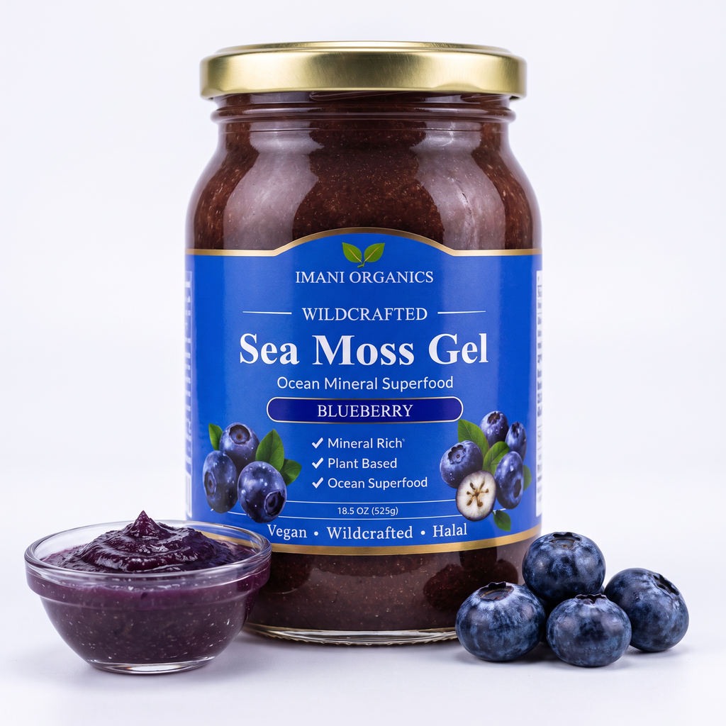 Blueberry Sea Moss Gel · 18.5 oz